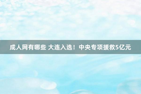 成人网有哪些 大连入选！中央专项援救5亿元