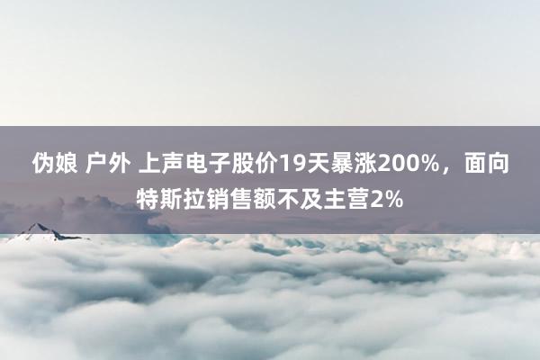 伪娘 户外 上声电子股价19天暴涨200%，面向特斯拉销售额不及主营2%