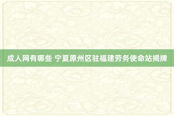 成人网有哪些 宁夏原州区驻福建劳务使命站揭牌