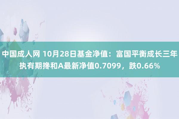中国成人网 10月28日基金净值：富国平衡成长三年执有期搀和A最新净值0.7099，跌0.66%