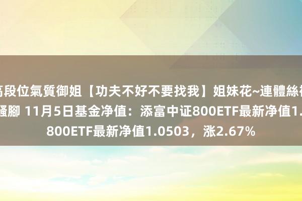 高段位氣質御姐【功夫不好不要找我】姐妹花~連體絲襪~大奶晃動~絲襪騷腳 11月5日基金净值：添富中证800ETF最新净值1.0503，涨2.67%