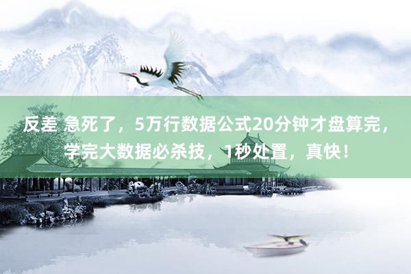 反差 急死了，5万行数据公式20分钟才盘算完，学完大数据必杀技，1秒处置，真快！