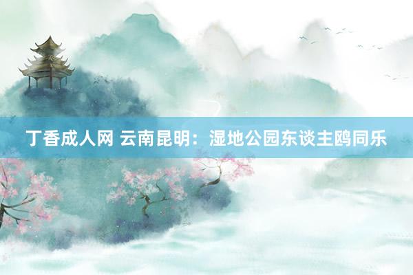 丁香成人网 云南昆明：湿地公园东谈主鸥同乐