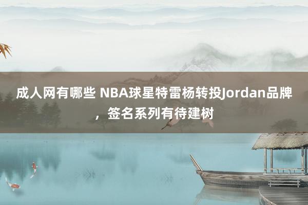 成人网有哪些 NBA球星特雷杨转投Jordan品牌，签名系列有待建树