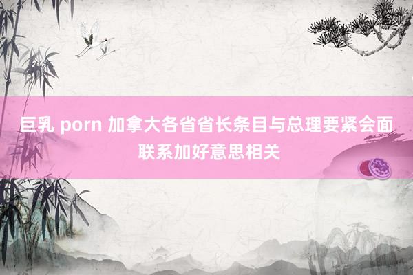 巨乳 porn 加拿大各省省长条目与总理要紧会面 联系加好意思相关