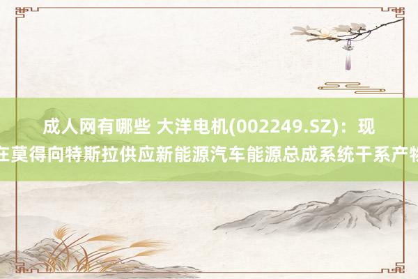 成人网有哪些 大洋电机(002249.SZ)：现在莫得向特斯拉供应新能源汽车能源总成系统干系产物