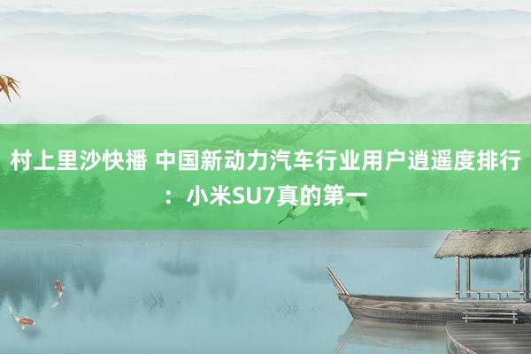 村上里沙快播 中国新动力汽车行业用户逍遥度排行：小米SU7真的第一