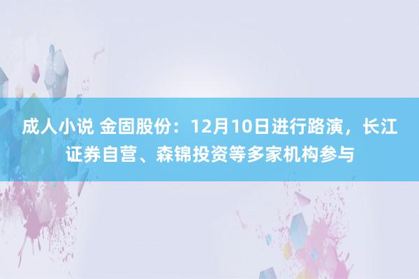 成人小说 金固股份：12月10日进行路演，长江证券自营、森锦投资等多家机构参与