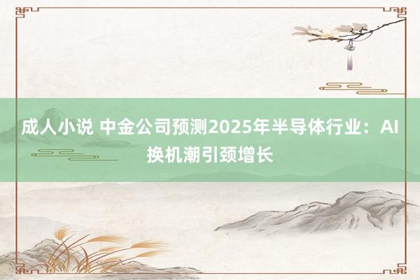 成人小说 中金公司预测2025年半导体行业：AI换机潮引颈增长