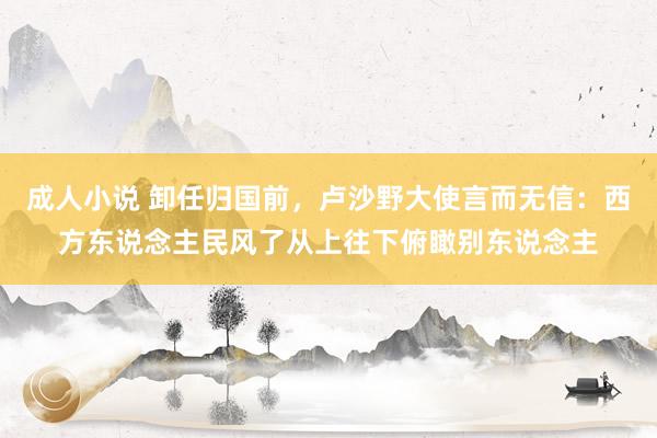 成人小说 卸任归国前，卢沙野大使言而无信：西方东说念主民风了从上往下俯瞰别东说念主