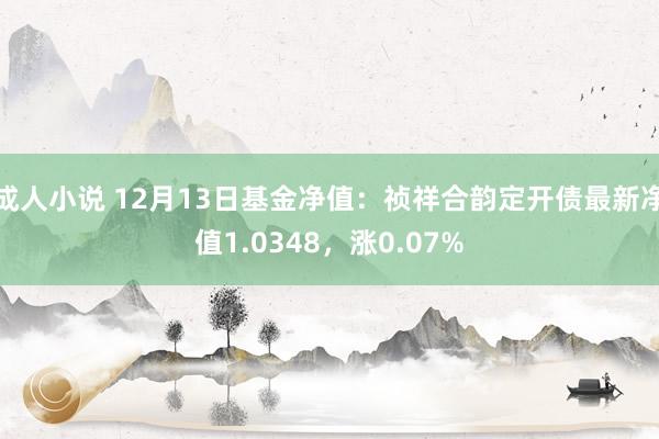 成人小说 12月13日基金净值：祯祥合韵定开债最新净值1.0348，涨0.07%