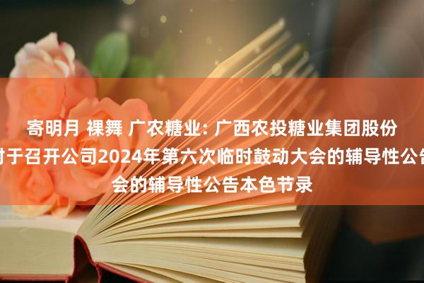 寄明月 裸舞 广农糖业: 广西农投糖业集团股份有限公司对于召开公司2024年第六次临时鼓动大会的辅导性公告本色节录