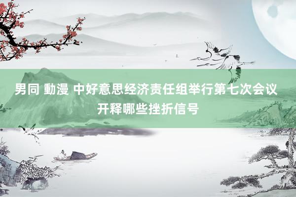 男同 動漫 中好意思经济责任组举行第七次会议 开释哪些挫折信号