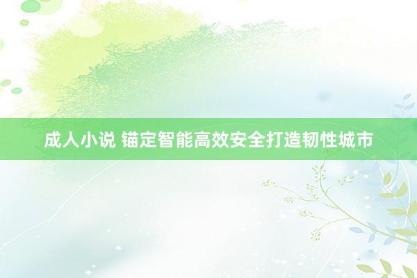 成人小说 锚定智能高效安全打造韧性城市
