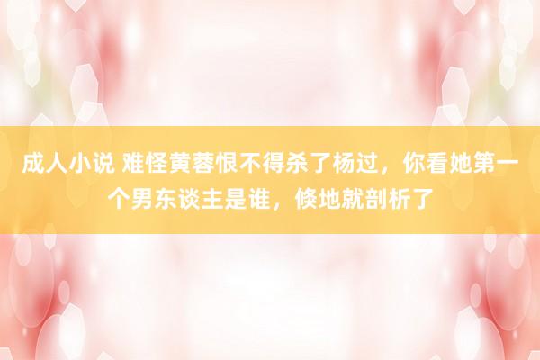 成人小说 难怪黄蓉恨不得杀了杨过，你看她第一个男东谈主是谁，倏地就剖析了
