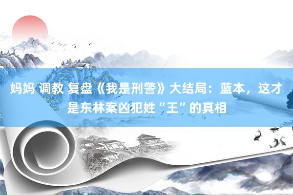妈妈 调教 复盘《我是刑警》大结局：蓝本，这才是东林案凶犯姓“王”的真相