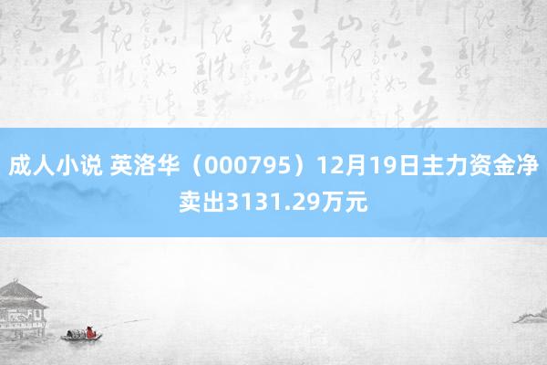 成人小说 英洛华（000795）12月19日主力资金净卖出3131.29万元
