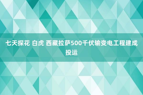 七天探花 白虎 西藏拉萨500千伏输变电工程建成投运