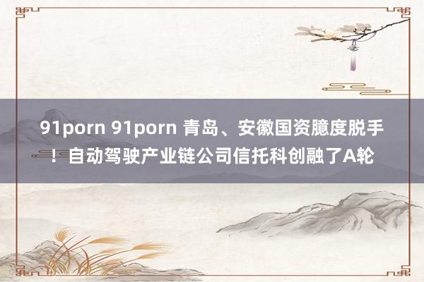 91porn 91porn 青岛、安徽国资臆度脱手！自动驾驶产业链公司信托科创融了A轮