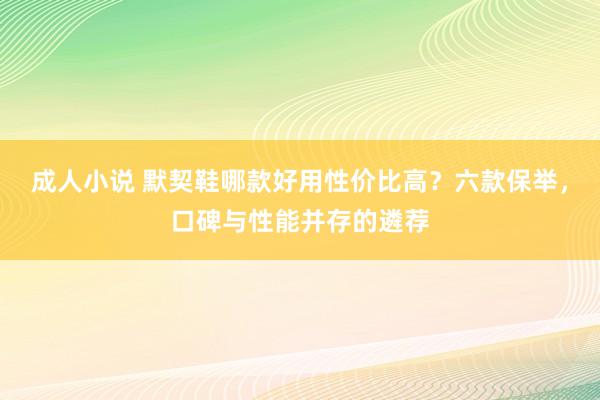 成人小说 默契鞋哪款好用性价比高？六款保举，口碑与性能并存的遴荐