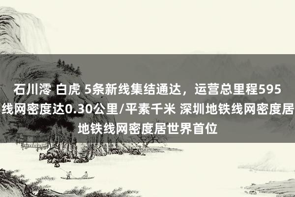 石川澪 白虎 5条新线集结通达，运营总里程595.1公里，线网密度达0.30公里/平素千米 深圳地铁线网密度居世界首位