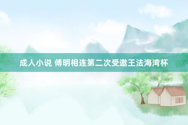成人小说 傅明相连第二次受邀王法海湾杯