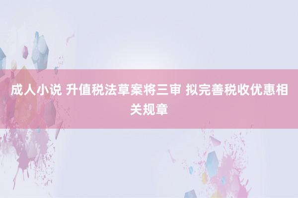 成人小说 升值税法草案将三审 拟完善税收优惠相关规章