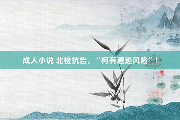 成人小说 北检抗告，“柯有遁迹风险”！