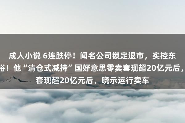 成人小说 6连跌停！闻名公司锁定退市，实控东说念主是黄光裕！他“清仓式减持”国好意思零卖套现超20亿元后，晓示运行卖车