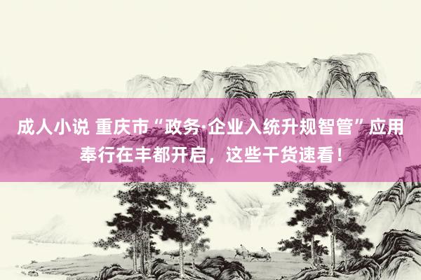 成人小说 重庆市“政务·企业入统升规智管”应用奉行在丰都开启，这些干货速看！