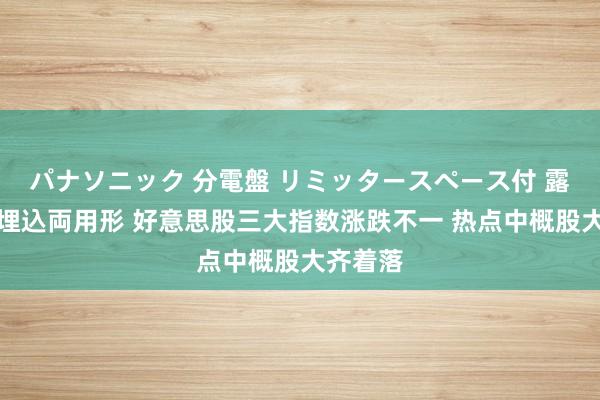 パナソニック 分電盤 リミッタースペース付 露出・半埋込両用形 好意思股三大指数涨跌不一 热点中概股大齐着落