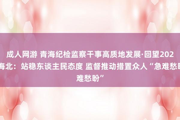 成人网游 青海纪检监察干事高质地发展·回望2024|海北：站稳东谈主民态度 监督推动措置众人“急难愁盼”
