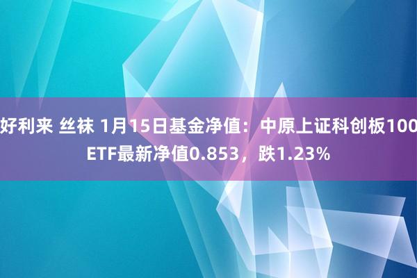 好利来 丝袜 1月15日基金净值：中原上证科创板100ETF最新净值0.853，跌1.23%