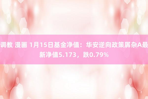 调教 漫画 1月15日基金净值：华安逆向政策羼杂A最新净值5.173，跌0.79%