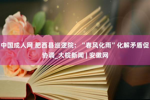 中国成人网 肥西县巡逻院：“春风化雨”化解矛盾促协调_大皖新闻 | 安徽网