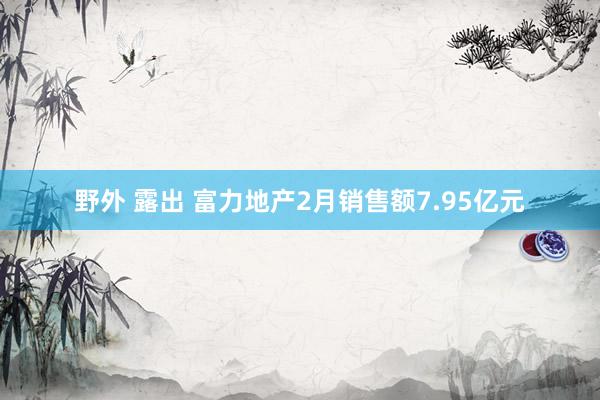 野外 露出 富力地产2月销售额7.95亿元