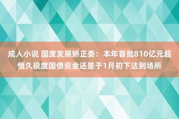 成人小说 国度发展矫正委：本年首批810亿元超恒久极度国债资金还是于1月初下达到场所