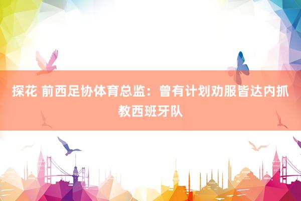 探花 前西足协体育总监：曾有计划劝服皆达内抓教西班牙队