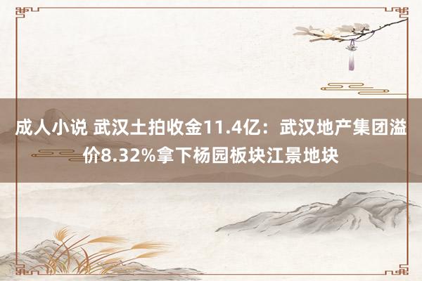 成人小说 武汉土拍收金11.4亿：武汉地产集团溢价8.32%拿下杨园板块江景地块