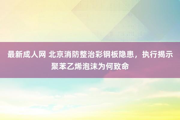 最新成人网 北京消防整治彩钢板隐患，执行揭示聚苯乙烯泡沫为何致命