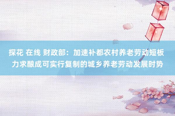 探花 在线 财政部：加速补都农村养老劳动短板 力求酿成可实行复制的城乡养老劳动发展时势