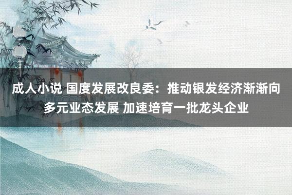 成人小说 国度发展改良委：推动银发经济渐渐向多元业态发展 加速培育一批龙头企业