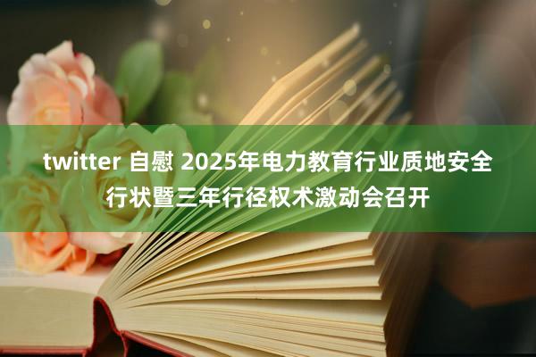 twitter 自慰 2025年电力教育行业质地安全行状暨三年行径权术激动会召开