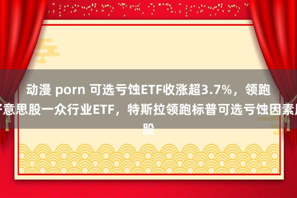 动漫 porn 可选亏蚀ETF收涨超3.7%，领跑好意思股一众行业ETF，特斯拉领跑标普可选亏蚀因素股