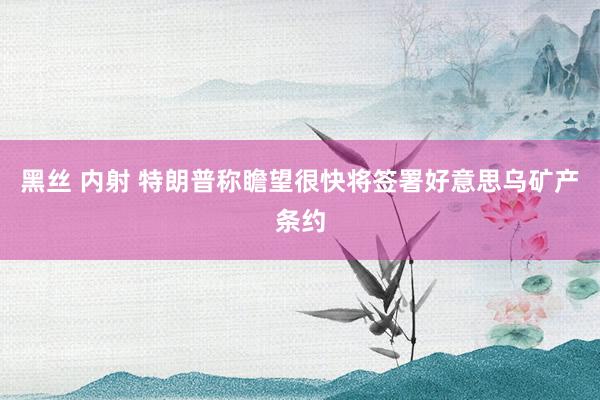 黑丝 内射 特朗普称瞻望很快将签署好意思乌矿产条约