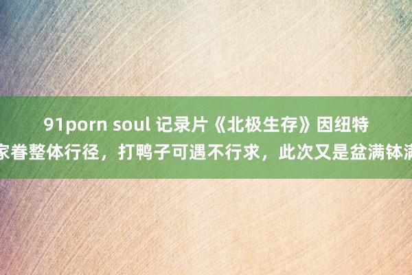 91porn soul 记录片《北极生存》因纽特家眷整体行径，打鸭子可遇不行求，此次又是盆满钵满