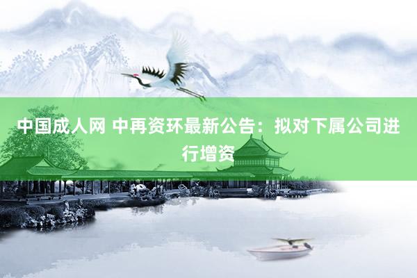 中国成人网 中再资环最新公告：拟对下属公司进行增资