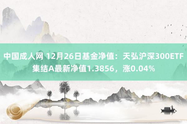 中国成人网 12月26日基金净值：天弘沪深300ETF集结A最新净值1.3856，涨0.04%
