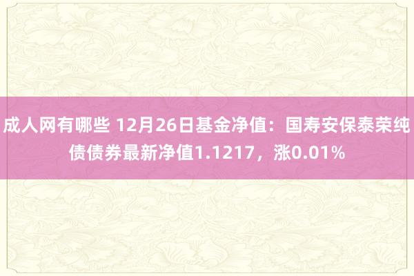 成人网有哪些 12月26日基金净值：国寿安保泰荣纯债债券最新净值1.1217，涨0.01%