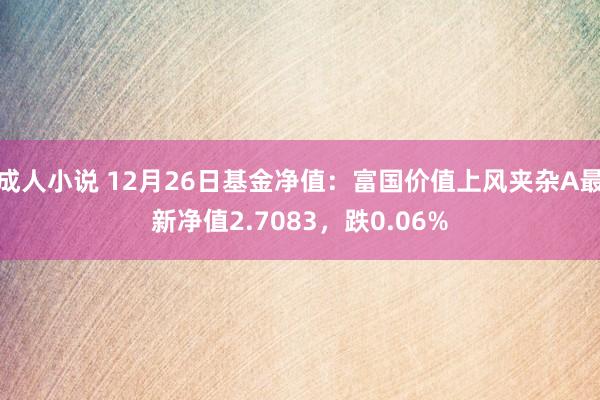 成人小说 12月26日基金净值：富国价值上风夹杂A最新净值2.7083，跌0.06%